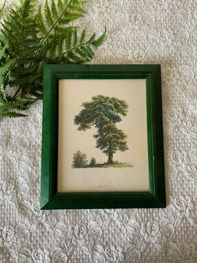 Vintage Wood Framed Tree Decor 8x10